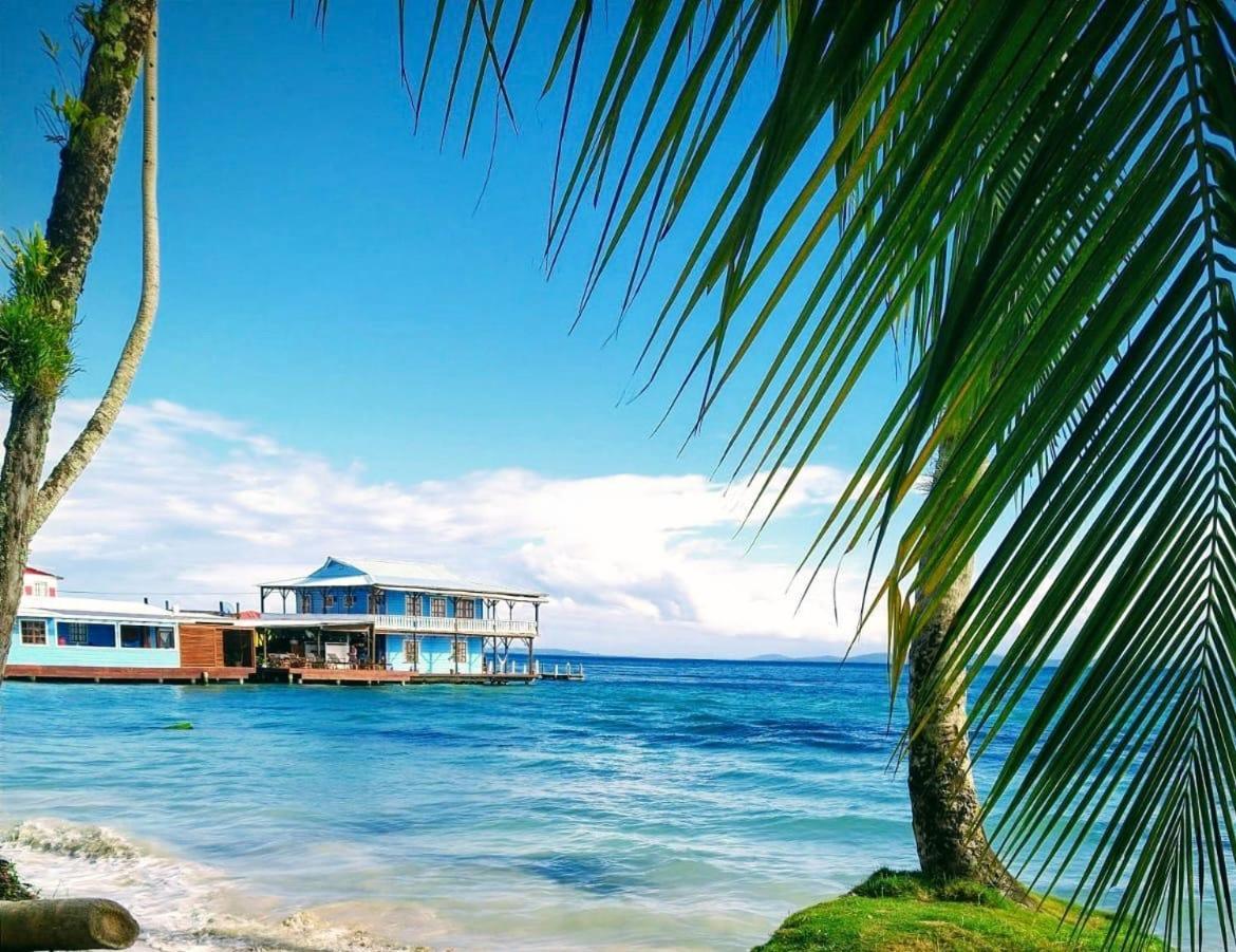 Casa Acuario Boutique Hotel โบกัสทาวน์ ภายนอก รูปภาพ