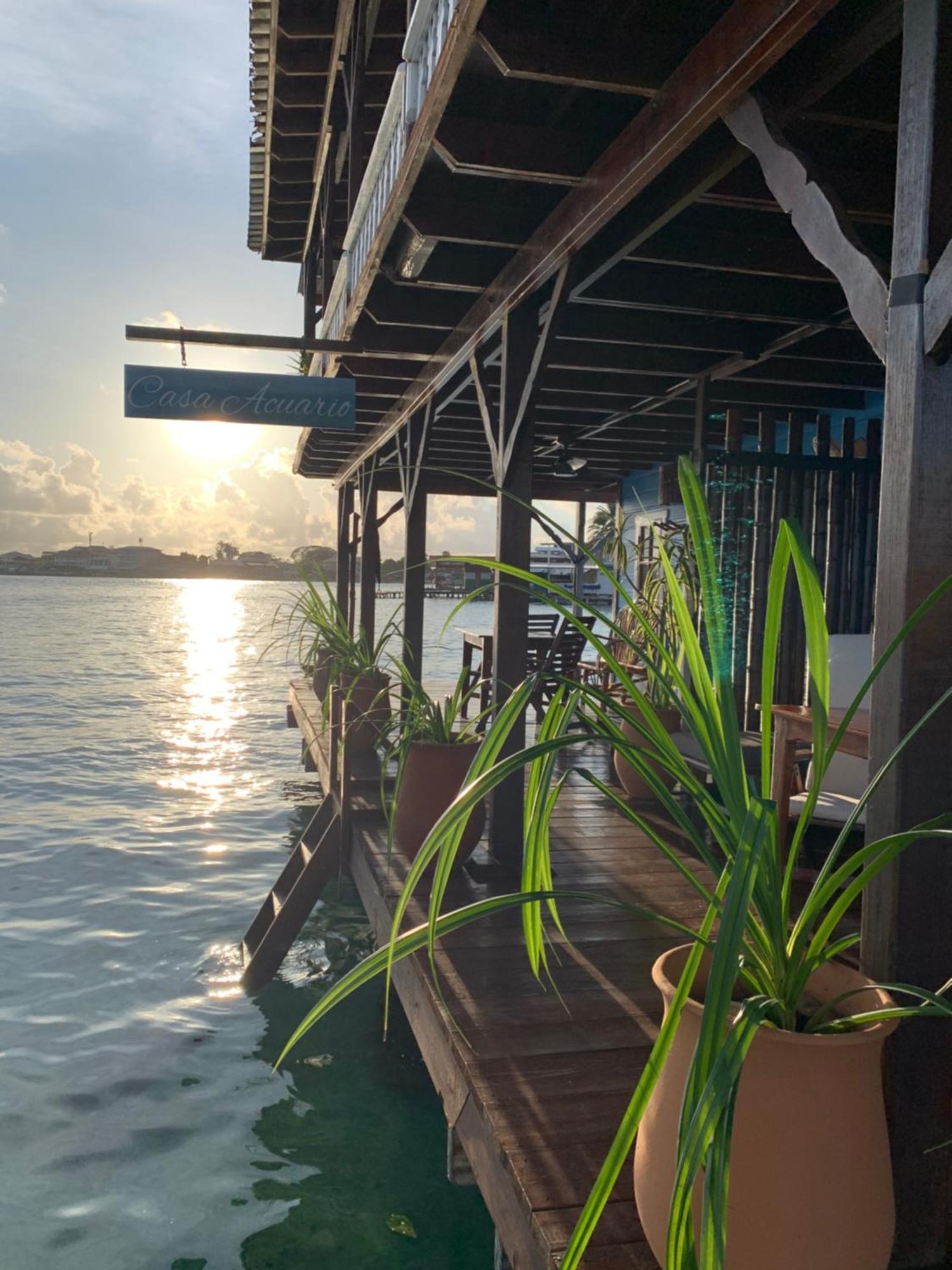 Casa Acuario Boutique Hotel โบกัสทาวน์ ภายนอก รูปภาพ